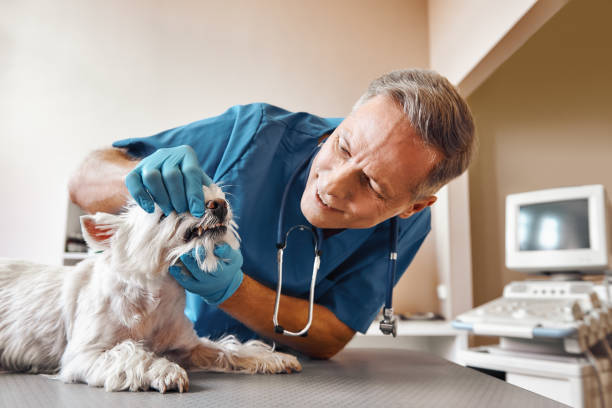 Best Emergency Root Canal Treatment in Salem, NJ